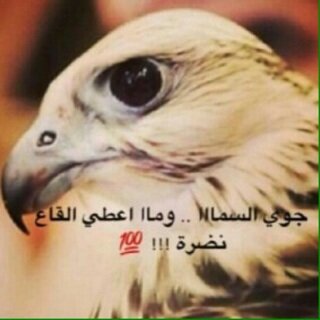 ما جيت انافق في تويتر واغتاب ،.         وفـلان قـال ، وعنـه قـالت فـلانـه ، مبـدع واتـابع كل راقـي وجـذاب ،.  اللي عن الزلات ، حافـظٍ لسانه