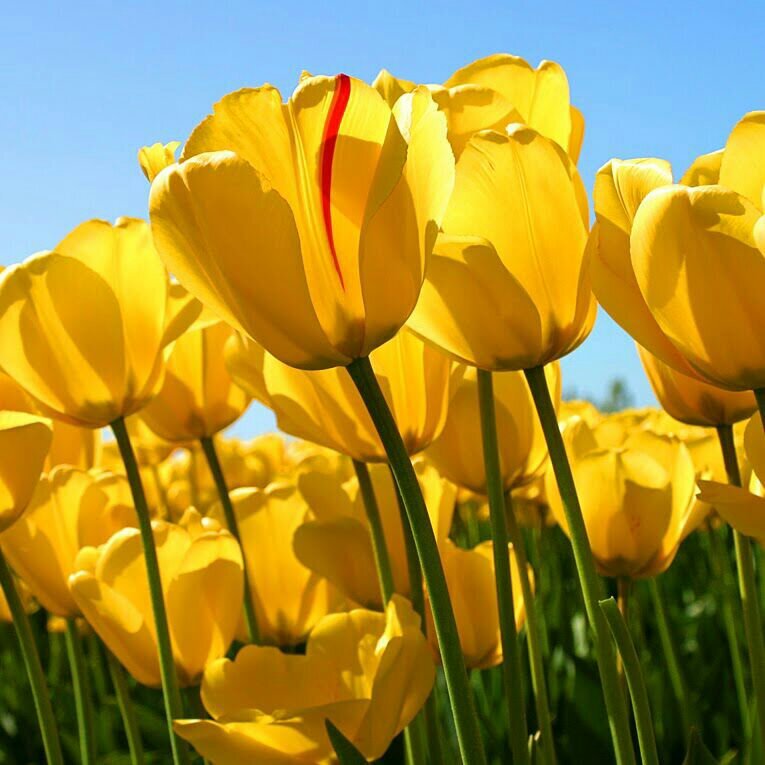 Esclava789's profile picture. 