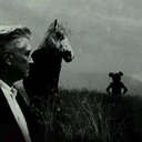 Ulysses - @UlyssesNeri - Twitter