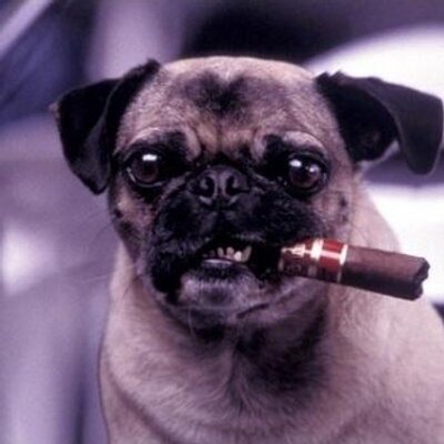 idek95's profile image