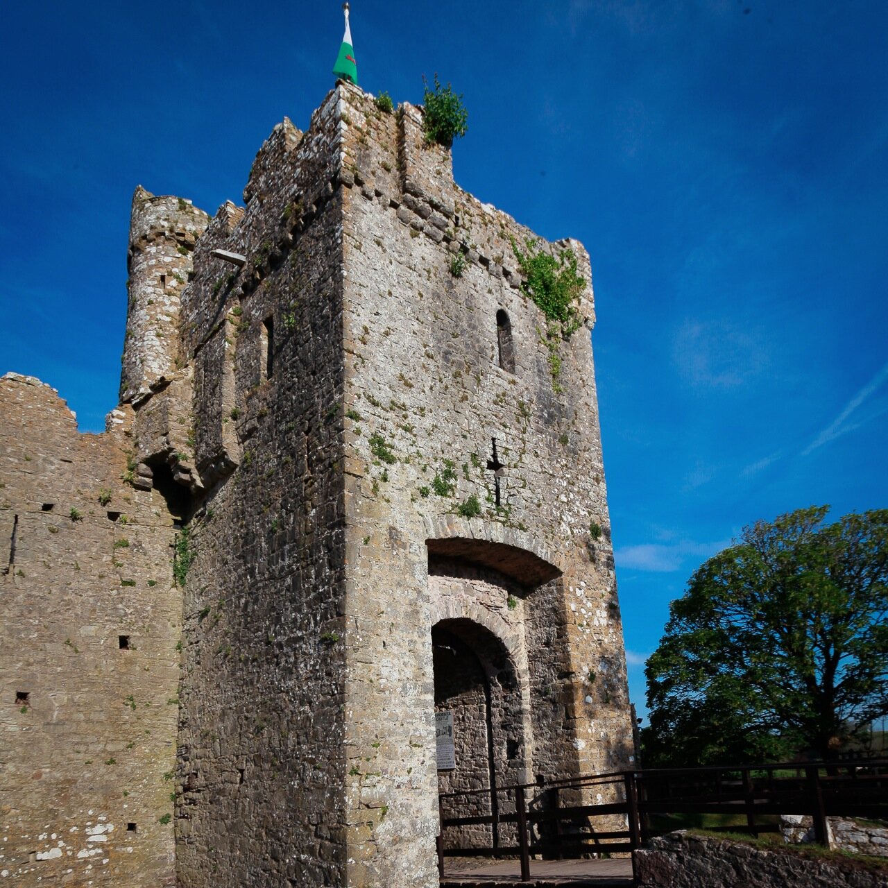 With such a splendid setting overlooking a beautiful unspoilt beach, families love to explore Manorbier Castle and bring a little bit of history to life. 🏰