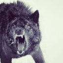 abdullah_alabbas - @gikoabood - Twitter