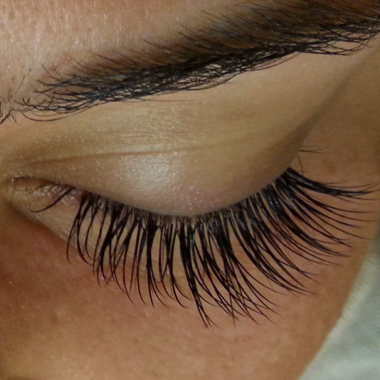 Certified xtreme lash technicians
647.787.8962