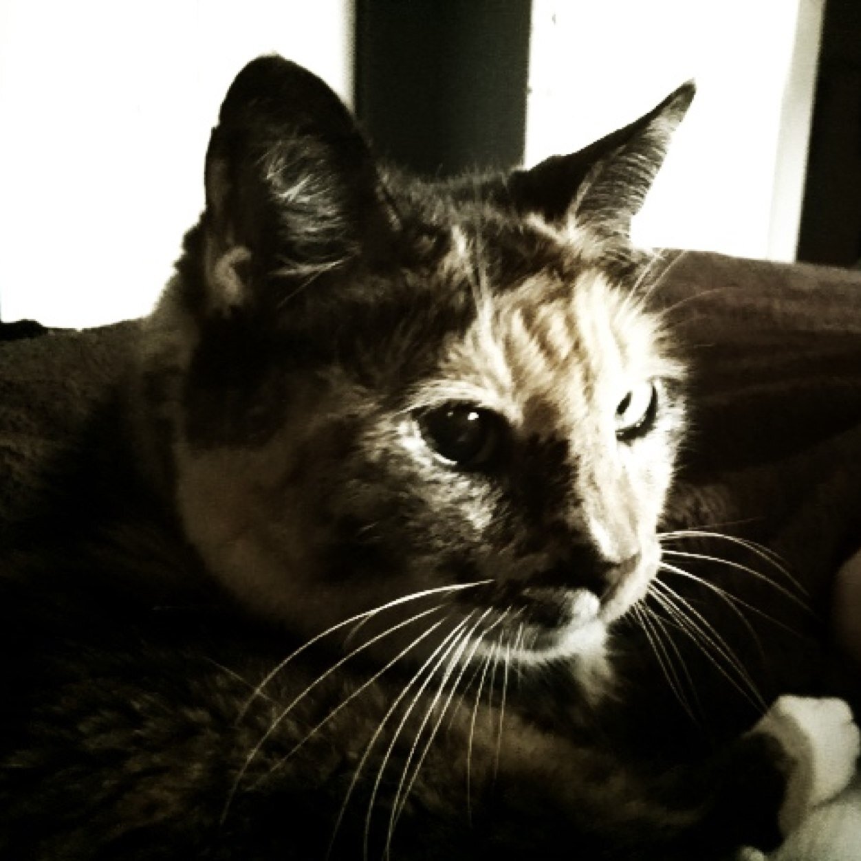 MoMo_0221_'s profile picture. 