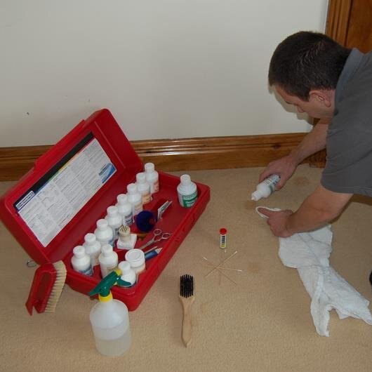 completeclean1's profile picture. We professionally clean and maintain carpet,area rugs,upholstery,soft furnishings,mattresses and tile&grout for domestic and commercial customers.