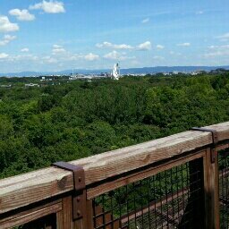 nononeko7's profile picture. 