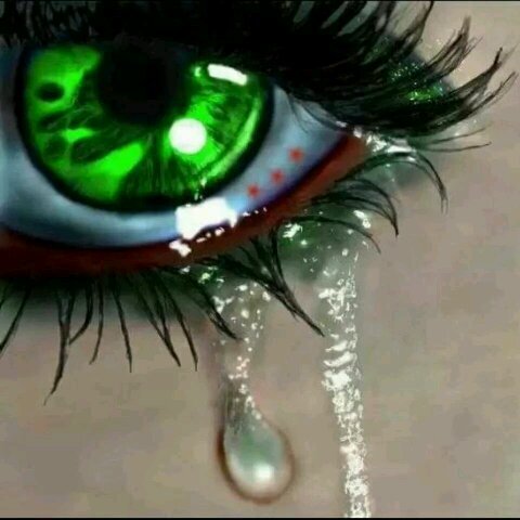 LLara999's profile picture. ابكيكي ياشام ام انتي تبكيني رددت الالحان بعيون المظلومين اه الك الله يا سوريا الابية