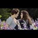 isabella webber - @isabella_webber - Twitter