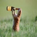 Layla Bishop - @laylabishop1444 - Twitter