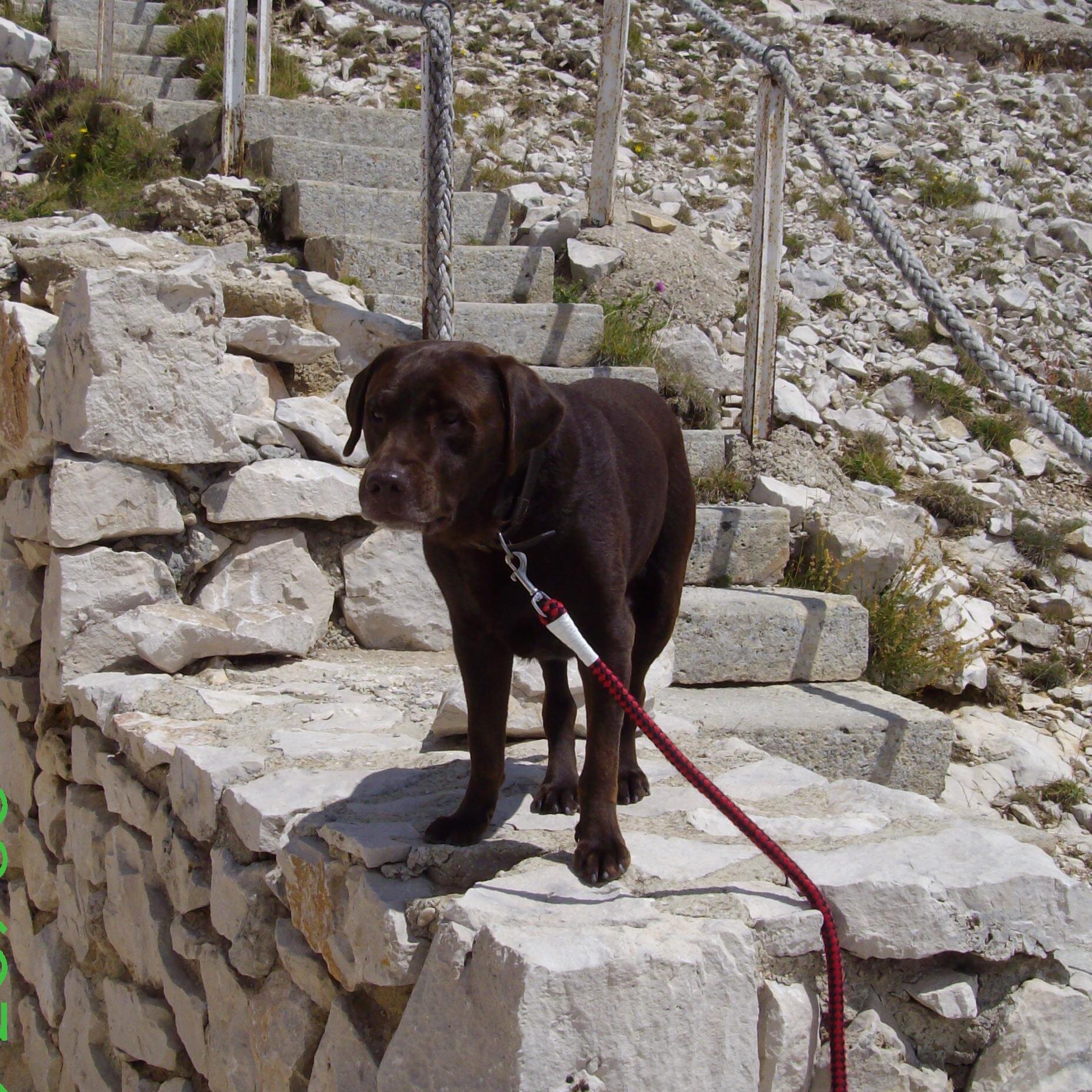 BrigitteDelhaye's profile picture. 