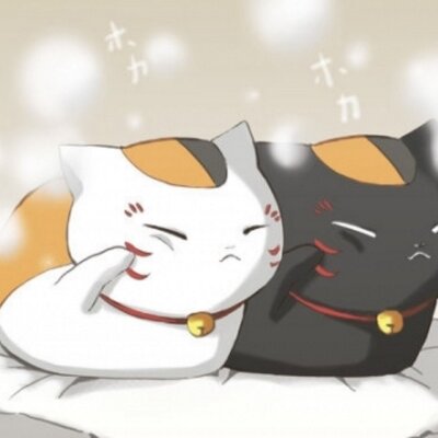 白にゃん黒にゃん☆にゃんこ同盟 (@toaruupnusi) / Twitter
