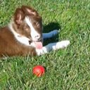 Mario Dimas  - @zaratieg - Twitter