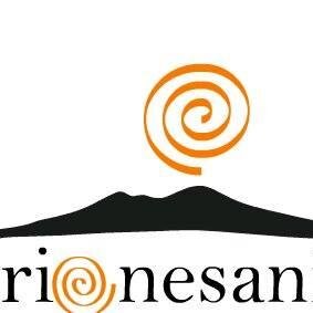 rionesanita's profile picture. 