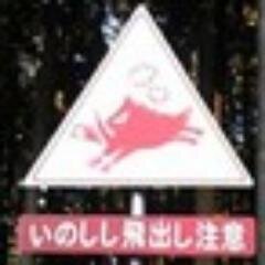 私は自分の生まれた日本という国が好きだ。自分たちの次の世代に、正しく日本を継承してゆきたい。そのために何をすべきなのか、今考えることはそこだと思う。
スタンス、日本人として日本第一。LGBT差別反対。死刑肯定。動物愛護。理想として動物達の殺処分ゼロ