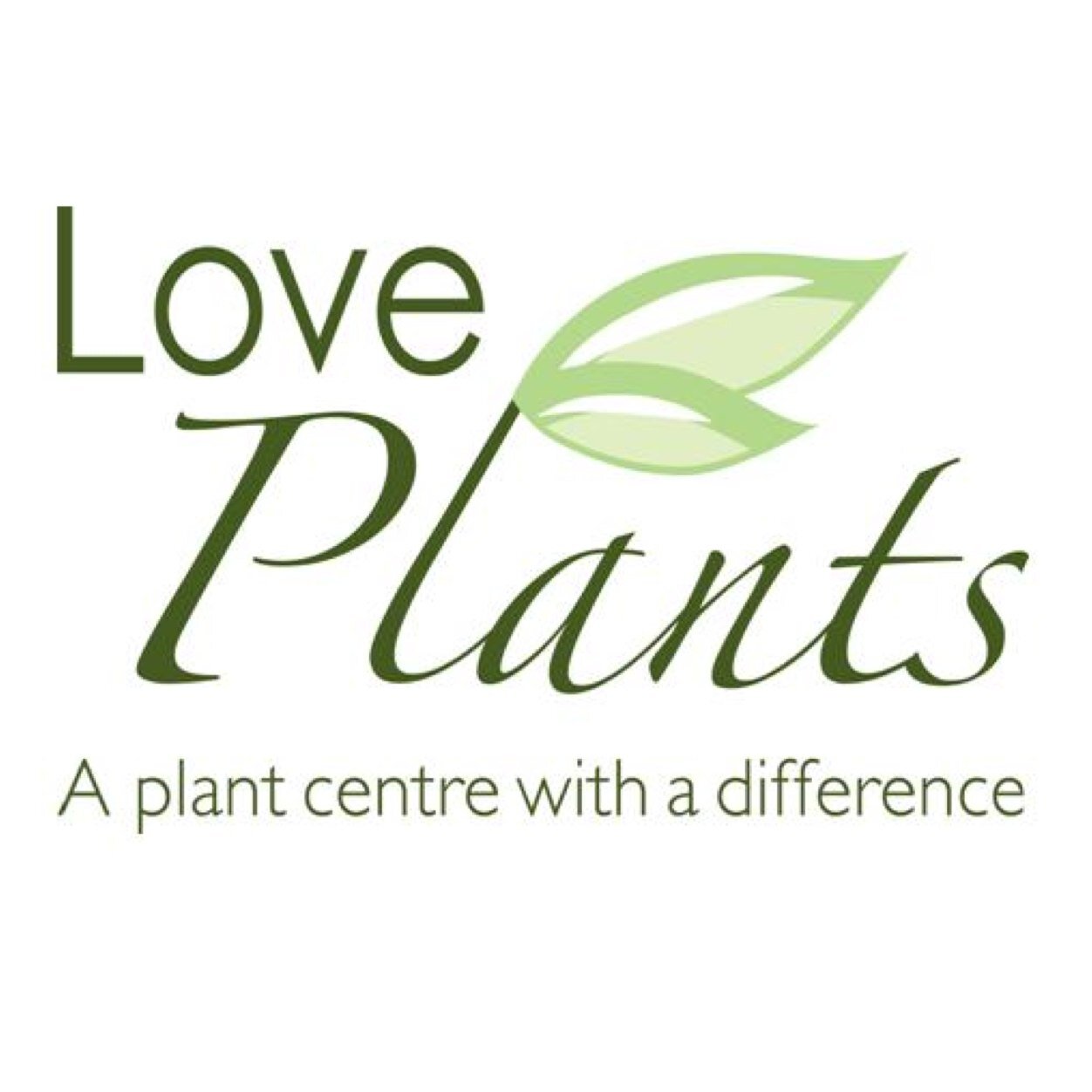 Love Plants is a dedicated plant centre the place to go in Shropshire for fantastic outdoor plants and informed advice from our team of horticulturists.