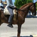 Juan Alcaide Collado - @juan17alcaide - Twitter