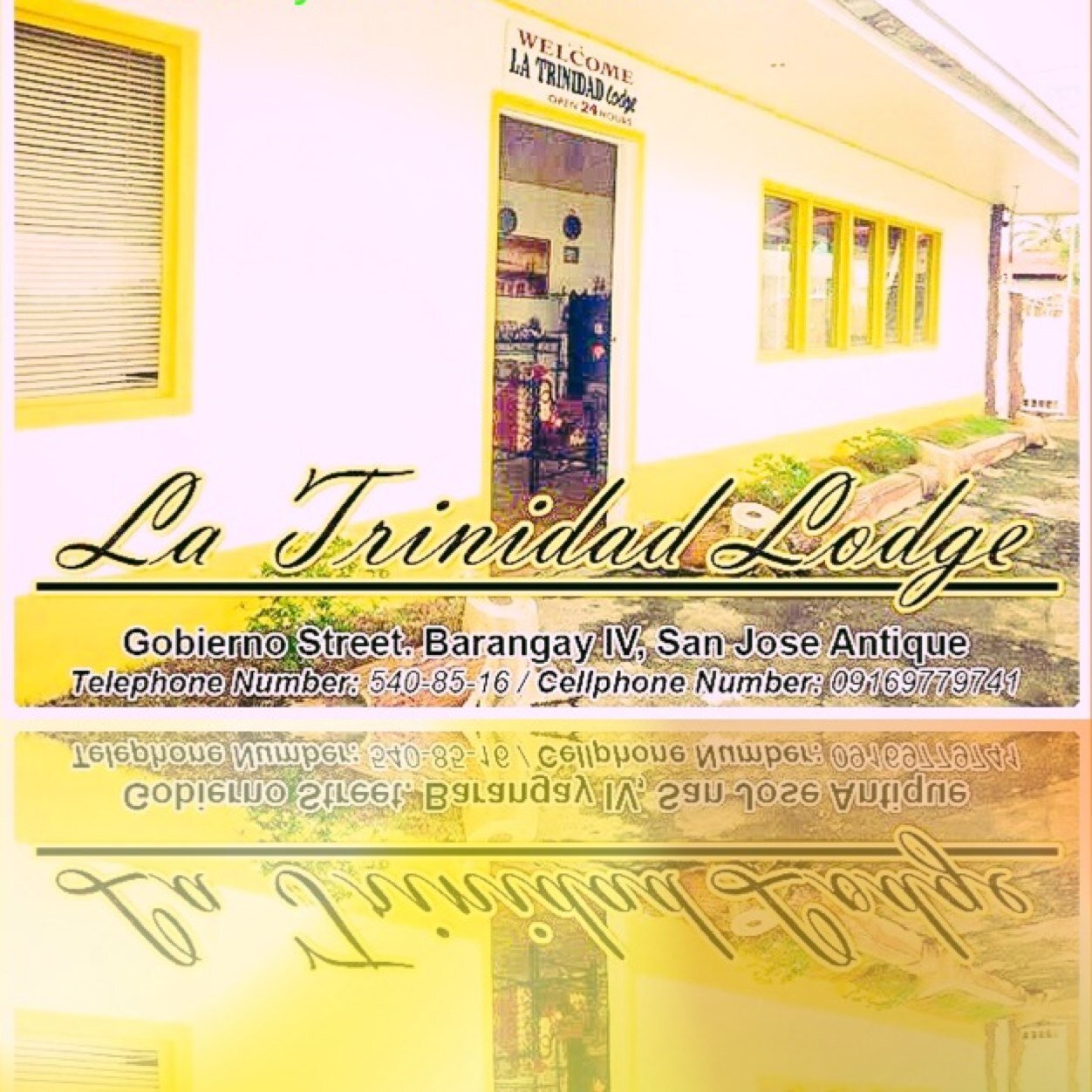 Cell: (+63) 09169779741 Tel: (036) 540-8516
Viber: 09177908950