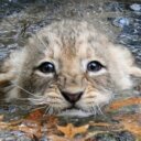 Lena Harmon - @harmonqyc - Twitter