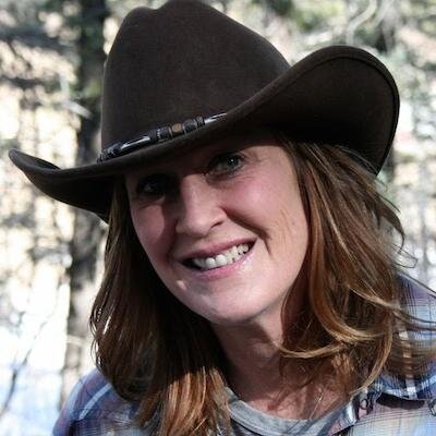 country music lovin cowgirl, DIY'r, ford F150 lover, sv650 rider, tech geek!