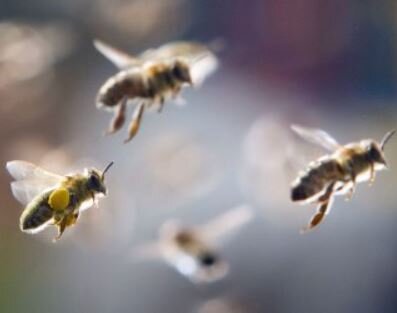 kollektivsinn's profile picture. Gemeinsam sind wir.. Großeinkäufer! Kollektive gründen und gemeinsam einkaufen bei [kollektiveinkauf]