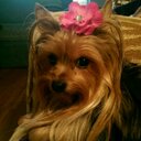 Joyce Pearson - @jmcpearson70 - Twitter