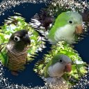 Jeannie Ann Norton - @nortonja4202 - Twitter