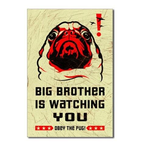 Malebolgia2009's profile picture. 