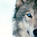 Granger Douglas - @Granger_Douglas - Twitter