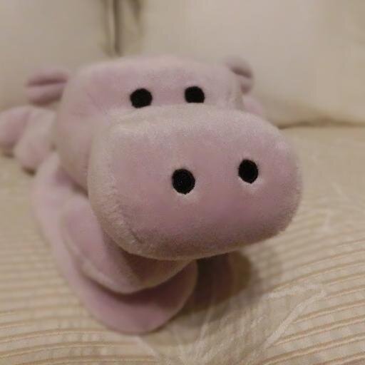 midvalleygirl08's profile picture. 雙葉幼小→お茶附中高→早大生医→東大医科学修士→医学博士4年／JSI／PhD48企画 @PhD_idols／CBD専門店GReEN @greenstorejp／ベルバード新橋店スタッフ @bellbird2048｜❤アカペラ／お笑い／落語／鉄道／⚾ヤクルト／🀄雷電⚡黒沢P／サクラナイツ🌸内川P&渋川P／尻無濱P