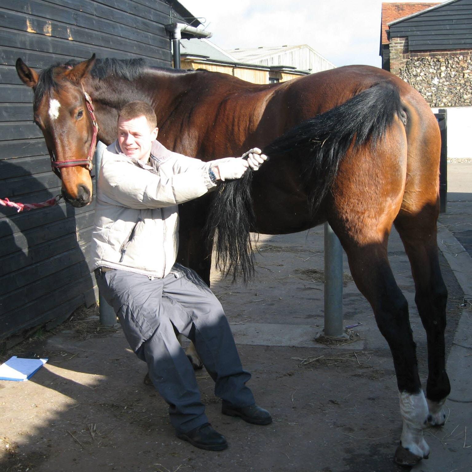 EquineOsteopath's profile picture. Equine Osteopathy | Horse & Rider Video Analysis | Massage.