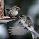 Chris Simonson - @csimonso - Twitter