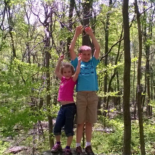 scottz2000's profile picture. Renewable Energy, EVs, MBiking, Skiing, Computers.  I despise the GOP and dislike the Dems.  rump is a grifter, rapist & child molester.  Elon is a fool to supp