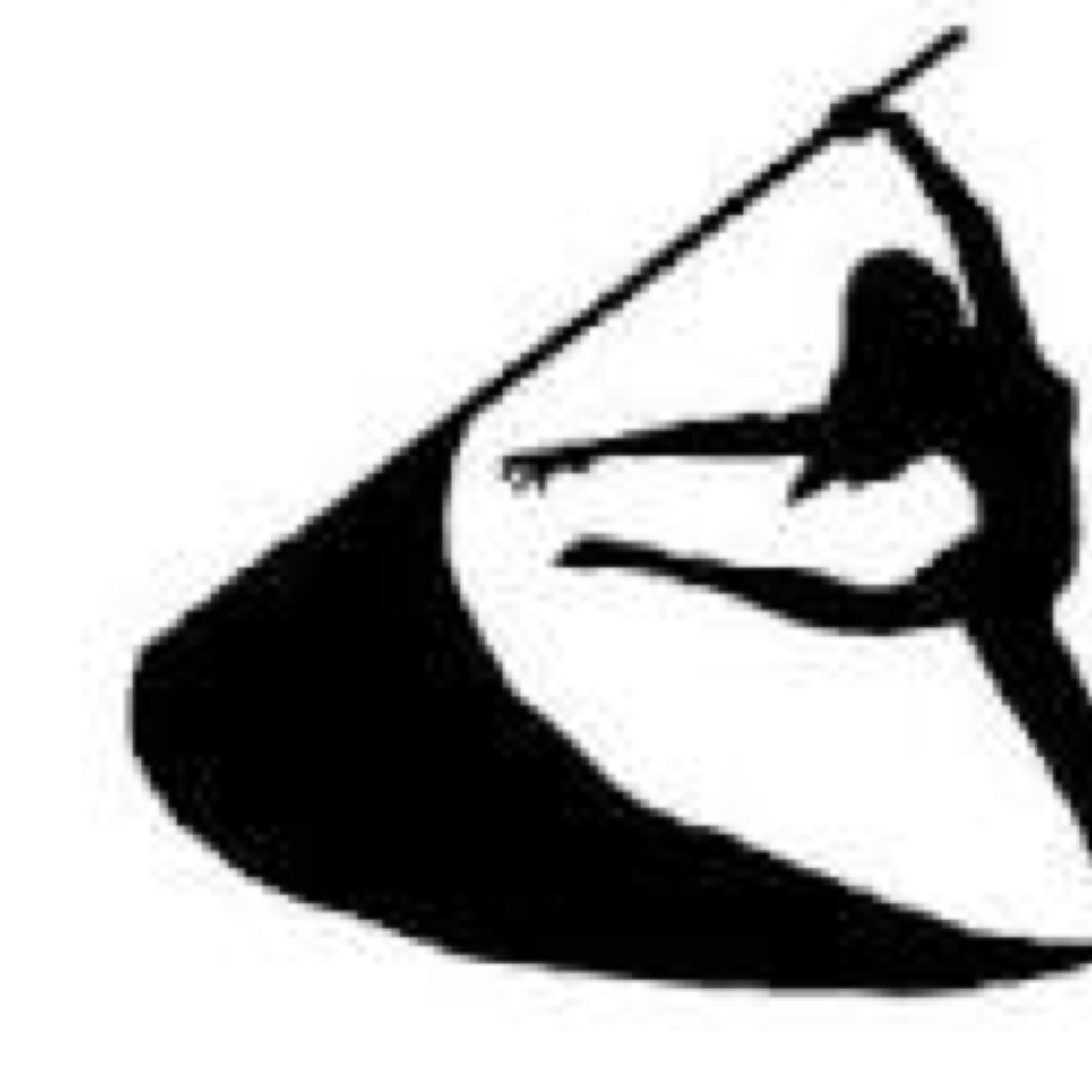 The non-official page of a colorguard