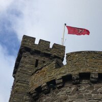 FFS (@manxdick) 's Twitter Profile