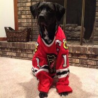 Tim R. (@tmryan21) 's Twitter Profile
