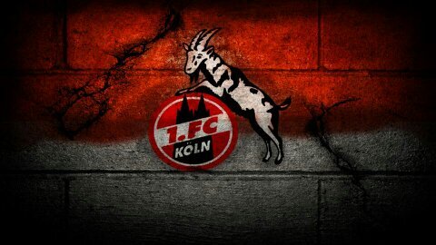 LarsNeumann01's profile picture. Arbeite mein FC