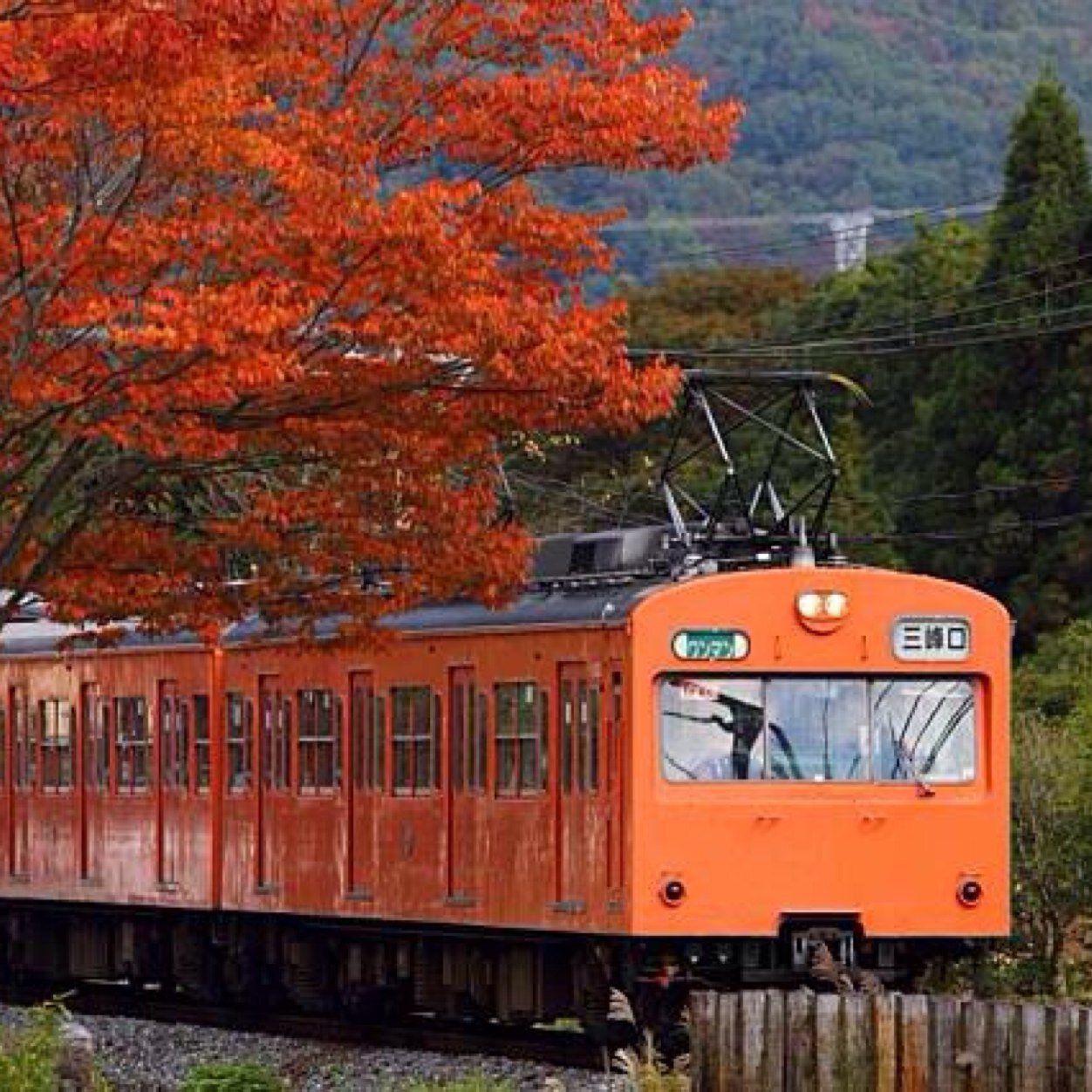 東京都青梅市在住。 子供の頃から電車が好きで、特に青梅線を走るオレンジ色の101系電車に惹かれました。最近は秩父鉄道を走る1000系（元国鉄101系）の撮影を主に行っていました。フォローよろしくお願いします。無言フォロー失礼します。