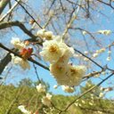 LeiLei Lai - @LaiLeiLei - Twitter