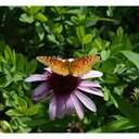 Vickie Casey - @vcasey - Twitter