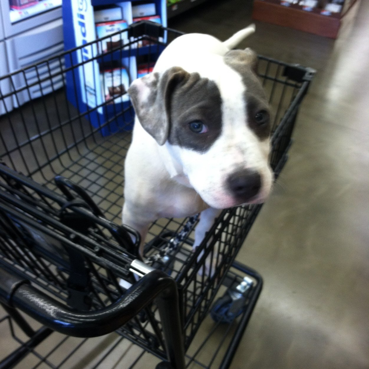 stewie918's profile picture. 