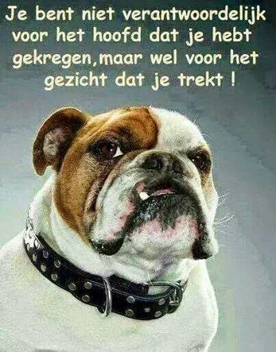 Ik ben recht voor de raap,  kritisch maar niet brutaal of persoonlijk! Ik klaag onrechtvaardigheid aan die niet zouden mogen bestaan!