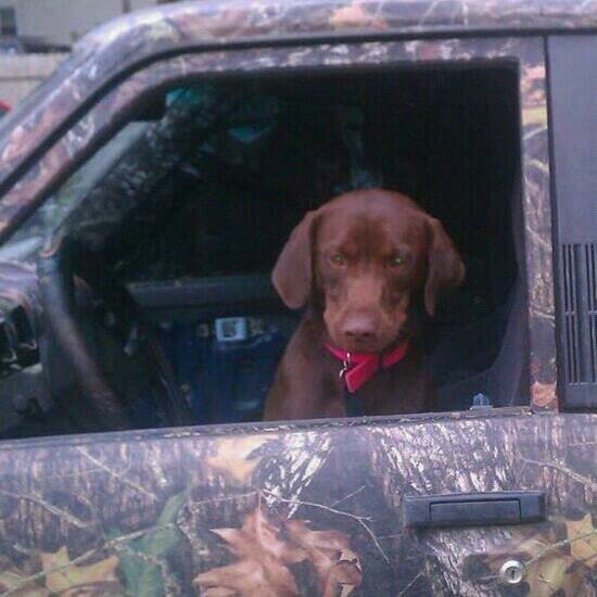 drewscrx's profile picture. 