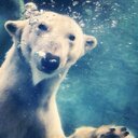 Tom Bills - @VCUdad - Twitter