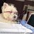 doctorbibicm's profile image