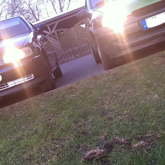 SSchulz667's profile picture. 