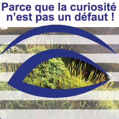 VernetAnn's profile picture. Passionnée de formes et de couleurs - J'aime l'humour, l'humain, le travail bien fait et le respect... Nous sommes tous un trésor de richesses inestimables !
