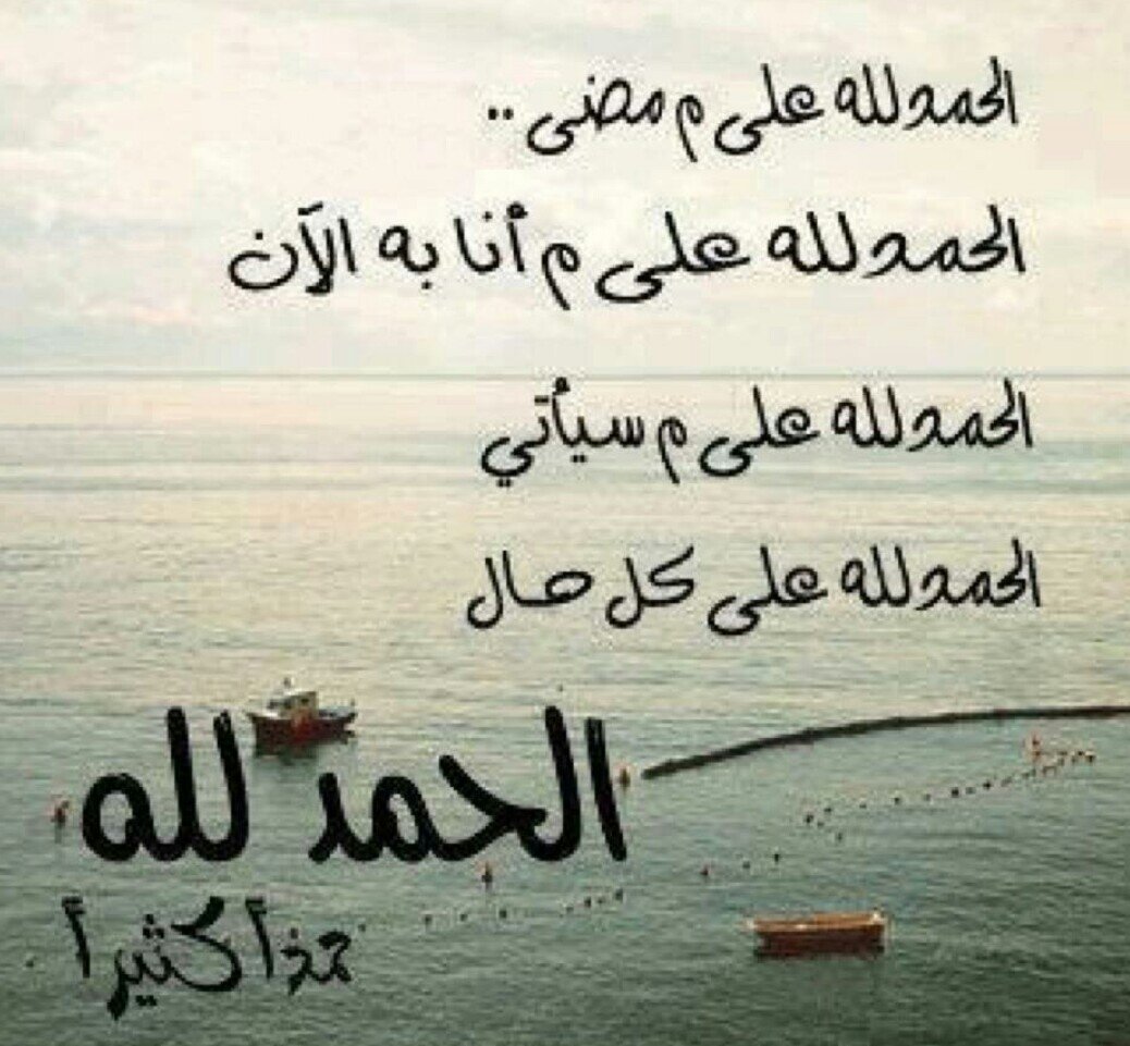 3li_all's profile picture. 