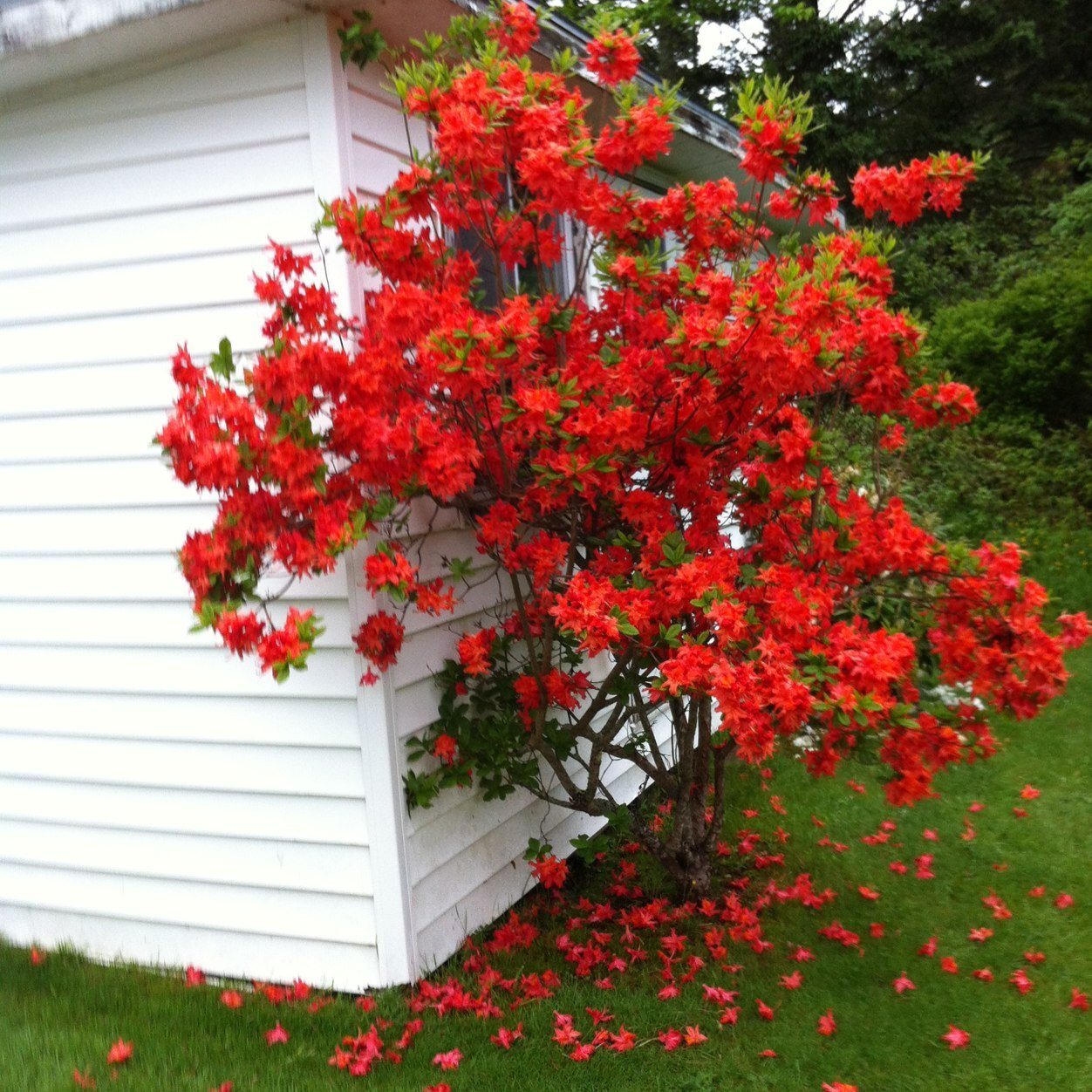 FallonOliver1's profile picture. 