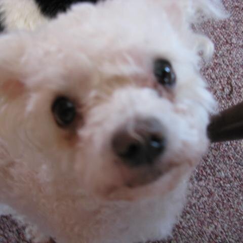 patreeka7's profile picture. 