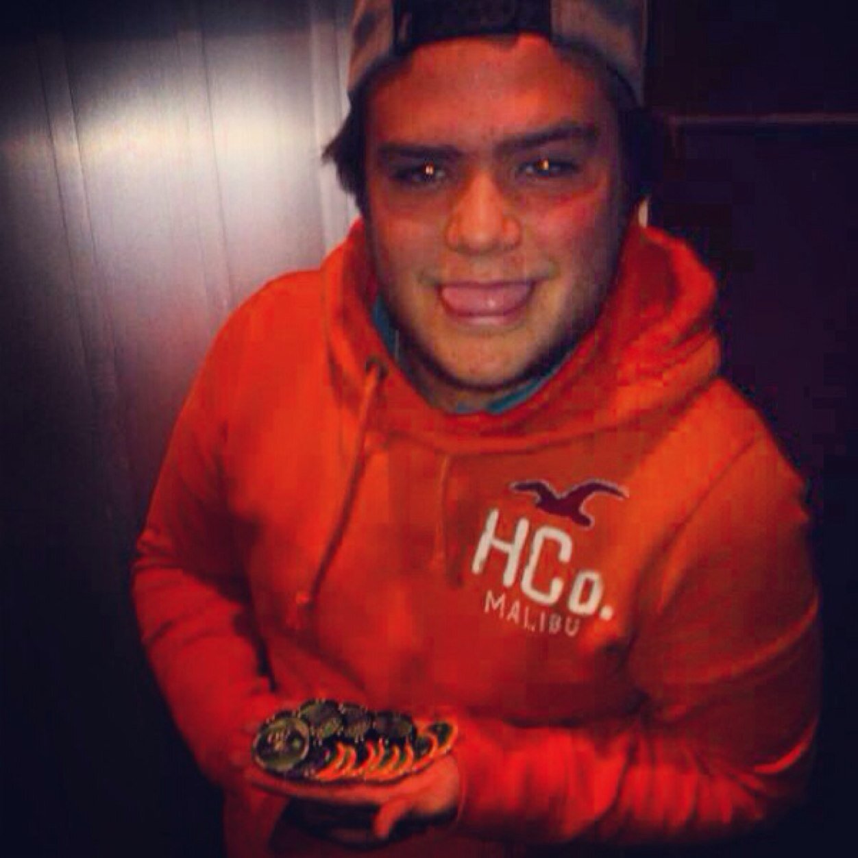 picolopz's profile picture. 